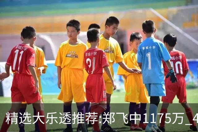 精选大乐透推荐:郑飞中1175万 4大专家中100万